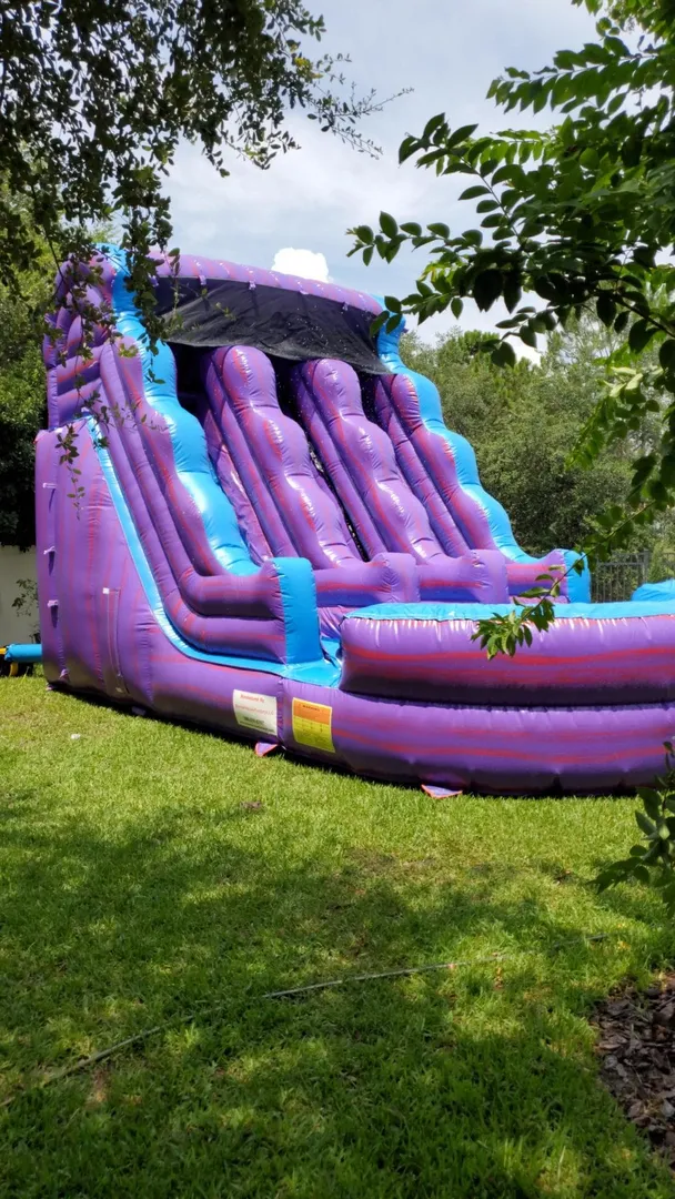 20FT DUAL LANE PURLE MONSTER WATER SLIDE